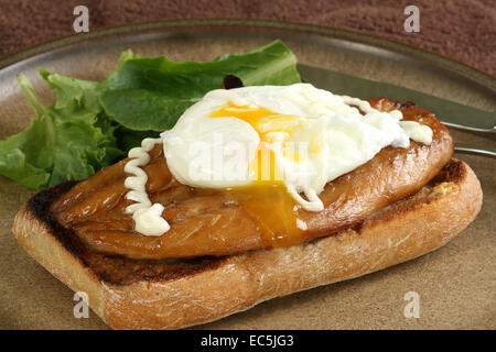 smoked mackerel on toasted ciabata topped with a poached egg Stock Photo