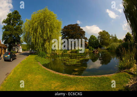 The Duck pond on the traffic roundabout, Otford Kent. Stock Photo