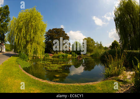 The Duck pond on the traffic roundabout, Otford Kent. Stock Photo