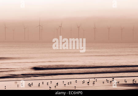 Teesside Offshore Windfarm near Redcar on the north east coast of England, UK at dawn. Photograph taken from Seaton Carew beach Stock Photo