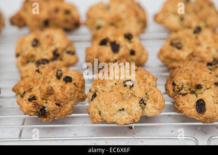 Rock cakes, a traditional British teatime treat, home-baked small fruit cakes made with currents or raisins, on a wire cooling rack Stock Photo