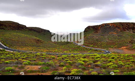 The road from Maspalomas to the mountains. Gran Canaria. Stock Photo