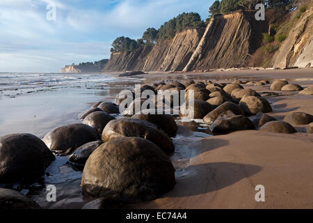 Spherical sandstone concretions on Bowling Ball Beach lie within Schooner Gulch State Beach along California's Mendocino coast. Stock Photo