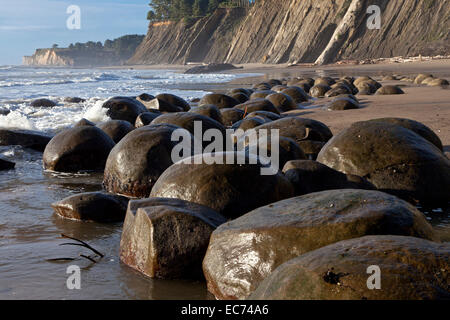 Spherical sandstone concretions on Bowling Ball Beach lie within Schooner Gulch State Beach along California's Mendocino coast. Stock Photo