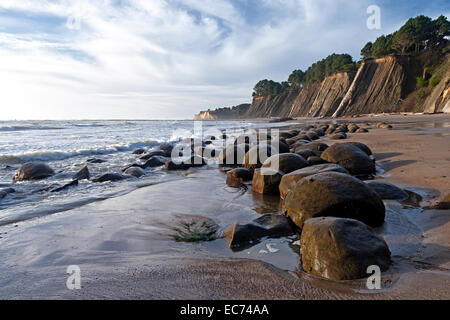 Spherical sandstone concretions on Bowling Ball Beach lie within Schooner Gulch State Beach along California's Mendocino coast. Stock Photo