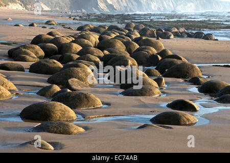 Spherical sandstone concretions on Bowling Ball Beach lie within Schooner Gulch State Beach along California's Mendocino coast. Stock Photo