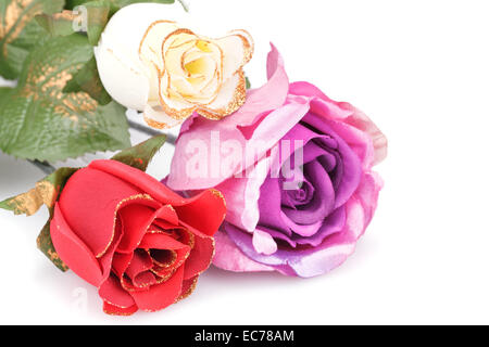 Colorful roses isolated on white background. Stock Photo