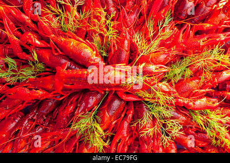 Sweden - Crayfish with dill eaten at traditional swedish crayfish party. Stock Photo