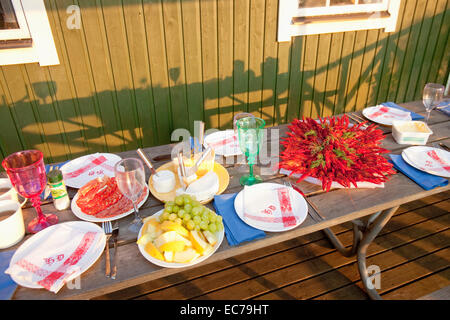 Sweden - Crayfish with dill eaten at traditional swedish crayfish party. Stock Photo