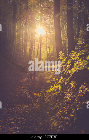 Three little girls walking through autumn forest Stock Photo