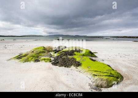 Seaweed covered rocks on empty sandy beach at Pol a Chara, South Uist, Outer Hebrides, Western Isles, Scotland, UK, Britain Stock Photo