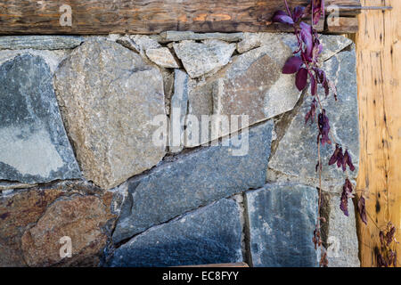 Seamless old stone wall texture background with a flower Stock Photo
