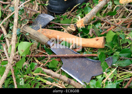 Axe and billhook, tools used in hedge laying. Stock Photo