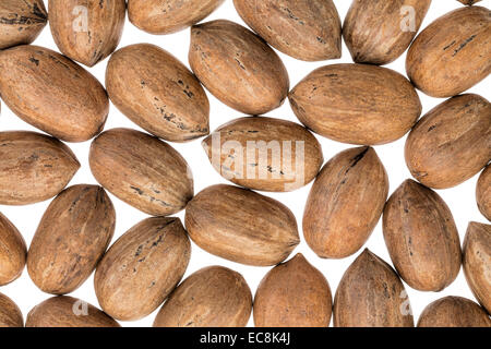 organic pecan nuts in shells against white background Stock Photo
