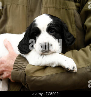 Woman in green coat holding a gorgeous cute puppy in her arms, black & white pup Stock Photo