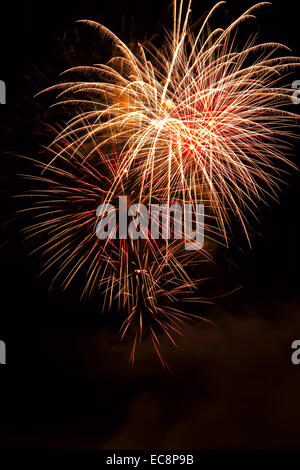 A vertical image of a fireworks display for Canada Days