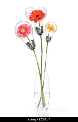 Bouquet from daisy-gerbera with heads inside lamps isolated on white Stock Photo