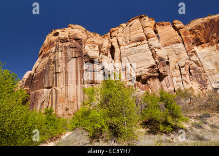 Sedimentary rock, Grand Staircase Escalante National Monument, Utah Stock Photo