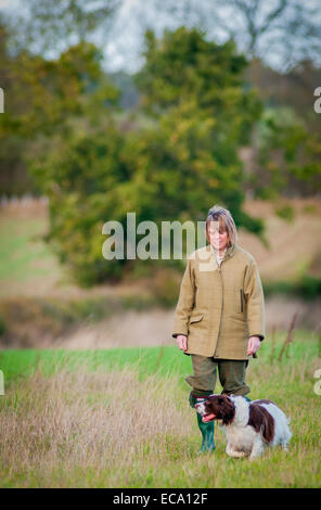 A woman training an English Springer Spaniel, to work as a gundog Stock Photo