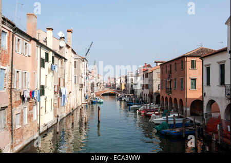 Houses on the Canal Vena in the historic centre, Chioggia, Veneto, Italy Stock Photo