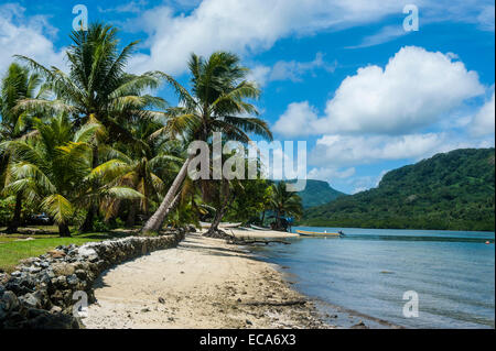 White sand beach with palm trees, Pohnpei, Micronesia Stock Photo