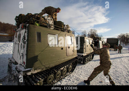 British Royal Marines secure gear atop a BV track vehicle before setting off to exercises in the mountains north of the Arctic Circle in Bardufoss, Norway. The BV track vehicle is the only motorized form of transport in the treacherous arctic terrain. Stock Photo