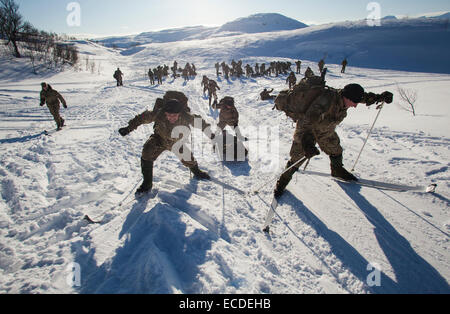 British Royal Marines go through a casualty evacuation exercise pulling and pushing a sled while on skis in Bardufoss, Norway, above the Arctic Circle. It can take several hours to cover one mile in this extreme terrain. Stock Photo