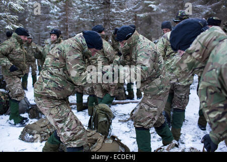 British Royal Marines do warm up exercises to mitigate frostbite in Bardufoss, Norway. Staying warm is a priority for NATO forces in the Arctic. Buddy systems are encouraged to make sure they take proper care of themselves. Stock Photo