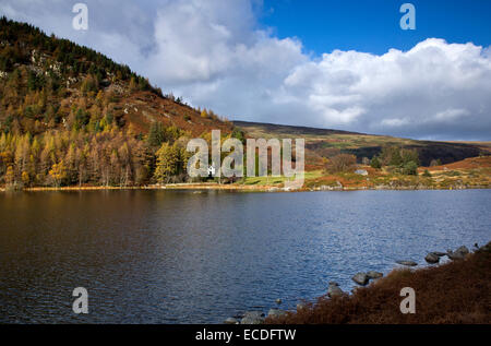 Cottage among the trees on the North Western end of Llyn Geirionydd lake in autumn near Trefriw Snowdonia National Park Gwynedd Stock Photo