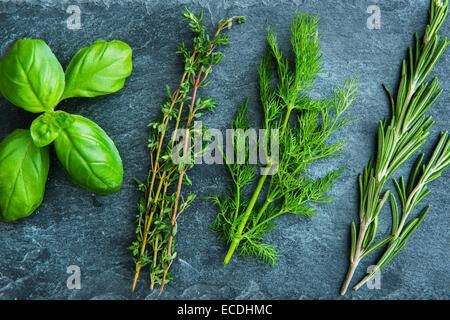 Closeup on fresh spices herbs on stone substrate Stock Photo
