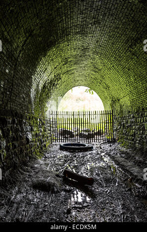 Disused railway tunnel, Clydach Gorge, Wales, UK Stock Photo