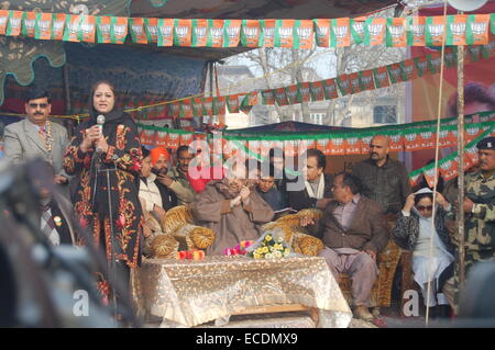 Bharatiya Jana Party Leader Amit Shah addressing the crowd during the rally in Kashmir attacking the National Conference (NC)-Congress government in Jammu and Kashmir as well as on the opposition Peoples Democratic Party (PDP) alleging that the funds being sent by the Center were not reaching the people of the state. © Tariq Mir/Pacific Press/Alamy Live News Stock Photo