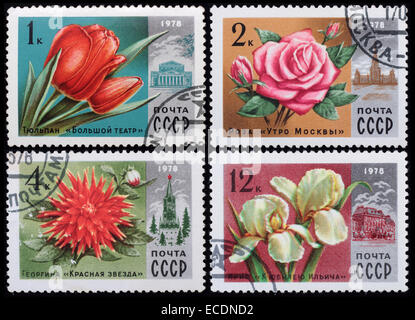USSR - circa 1978: A post stamp printed in the Soviet shows image of flowers, series Flowers, circa 1978. Stock Photo