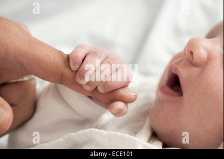 2 weeks old baby hand holding father finger Stock Photo