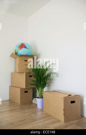 Moving house home still life boxes plant pot Stock Photo