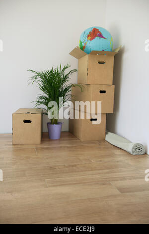 Symbol moving in boxes empty room plant Stock Photo