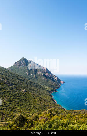 Forested mountains on the coast, Gulf of Porto, Corsica, France Stock Photo
