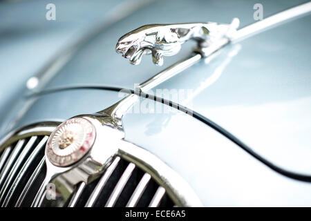 Jaguar bonnet mascot Stock Photo