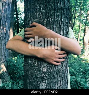 Teenage boy hugging tree in forest Stock Photo