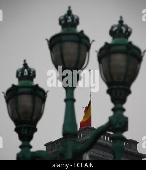 Brussels. 12th Dec, 2014. The Belgian flag is flown at half-mast at the Royal Palace of Belgium in Brussels, Dec. 12, 2014. A national funeral was held Friday for Belgium's Queen Fabiola, widow of King Baudouin and queen between 1960 and 1993, who died at the age of 86 on Dec. 5. Credit:  Zhou Lei/Xinhua/Alamy Live News Stock Photo