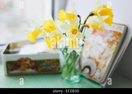 Yellow daffodils in a vase next to a tin Stock Photo