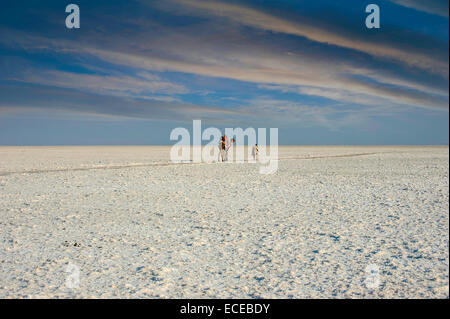 India, Gujarat, Kutch, Rann of Kutch, local tourist visiting the salt  desert Stock Photo - Alamy