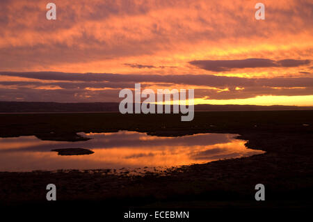 United Kingdom, England, Cheshire, Parkgate sunset in winter time, reflections of setting Stock Photo