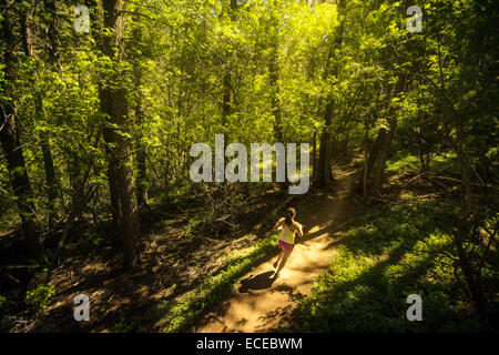 USA, Colorado, Golden, Woman trail running through forest Stock Photo