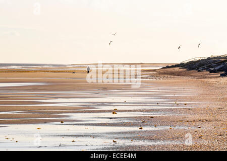 A person walking a dog on the beach at Skegness, UK Stock Photo