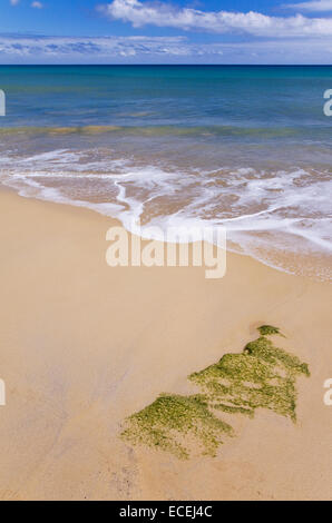 Beach of Porto Santo Island, Madeira Stock Photo - Alamy