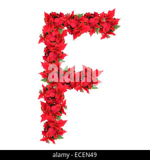 letter from red christmas flowers isolated on white Stock Photo