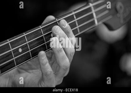 Fender bass Stock Photo