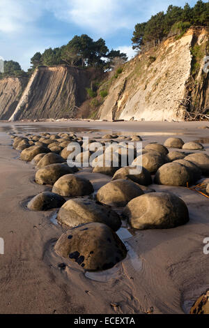 Spherical sandstone concretions on Bowling Ball Beach lie within Schooner Gulch State Beach along California's Mendocino coast. Stock Photo