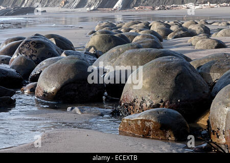 Spherical sandstone concretions on Bowling Ball Beach lie within Schooner Gulch State Beach along California's Mendocino coast. Stock Photo